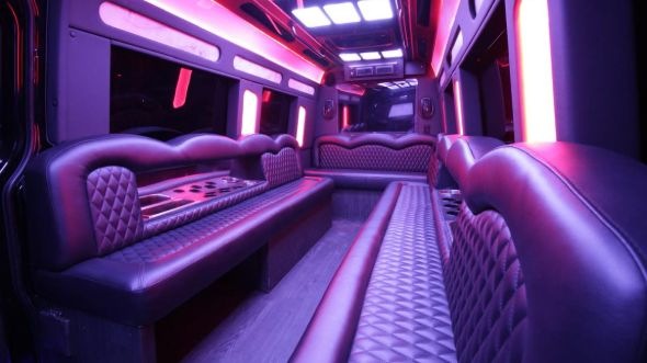 grand forks sprinter limo rental inside